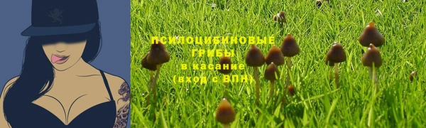 эйфоретик Балахна