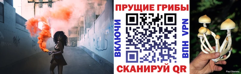 Псилоцибиновые грибы Psilocybine cubensis Волчанск
